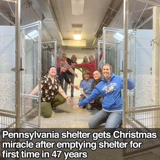 Joyful Triumph: Pennsylvania Shelter Celebrates ‘Christmas Miracle’ as it Empties for the First Time in 47 Years – Heartfelt Congratulations!