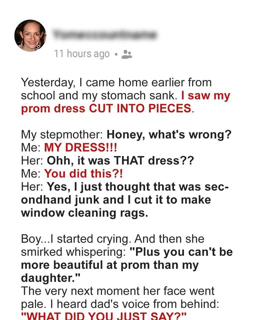Woman Cuts Her Stepdaughter’s Prom Dress to Pieces — Dad Has..