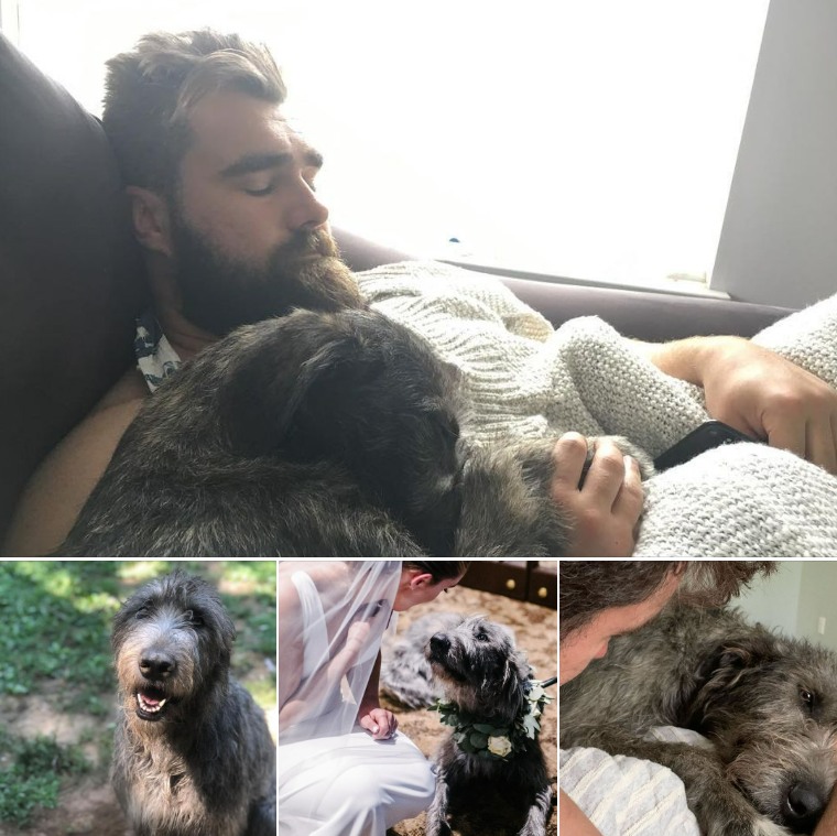 Beloved Companion Lost: Jason Kelce and Wife Kylie Bid Farewell to Winnie, Leaving a Void in Their Hearts