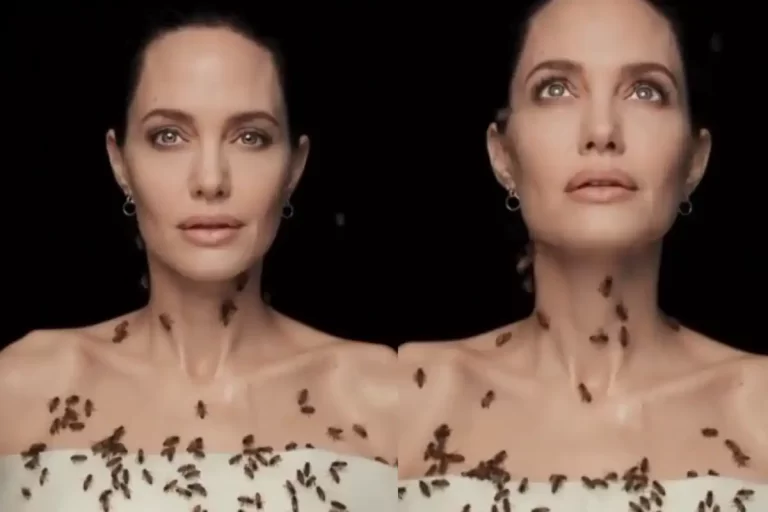 Angelina Jolie’s Buzzworthy Mission: Protecting Pollinators and Empowering Women