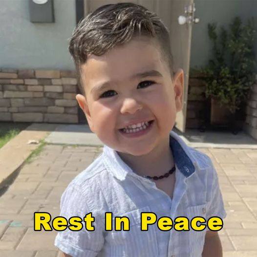 3-YEAR-OLD BOY DIES IN CAR CRASH ON WAY TO HIS OWN BIRTHDAY PARTY – REST IN PEACE