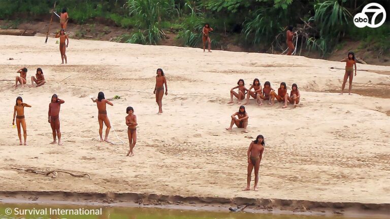 Rare pictures released of uncontacted Amazon rainforest tribe in Peru emerging near logging site