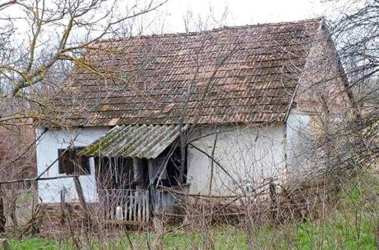 The Young Family Did Not Have Money For an Apartment: So They Bought an Abandoned House And Turned It Into a Fairytale House!