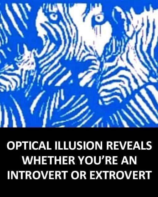 Optical illusion reveals whether you’re an introvert or extrovert