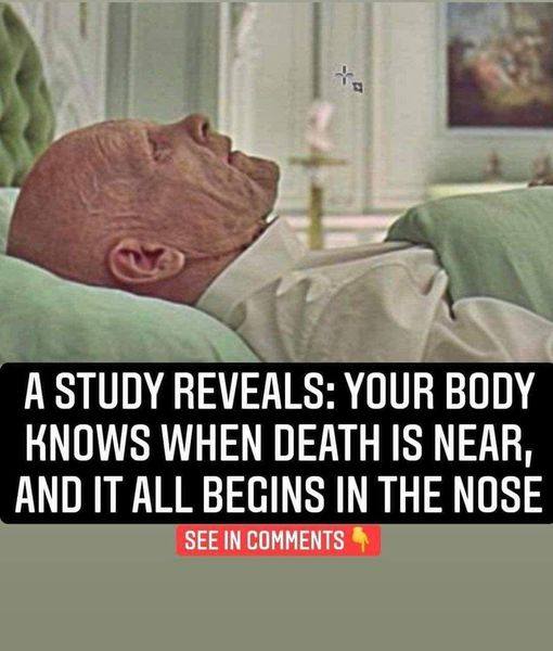 A Study Reveals Your Body Knows When Death Is Near, And It All Begins In The Nose