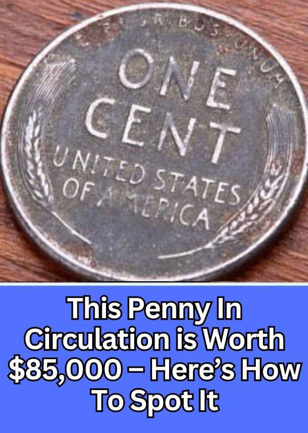 Here’s How To Spot It – This Penny In Circulation is Worth $85,000